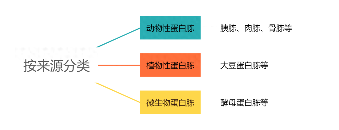 培养基主要原料——蛋白胨