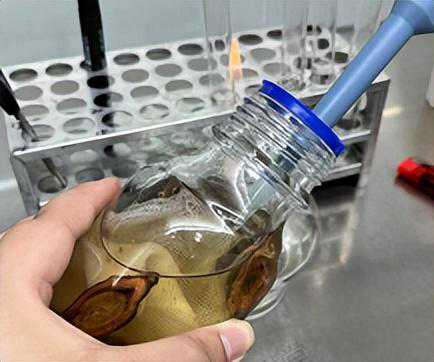 菌落总数检测计数