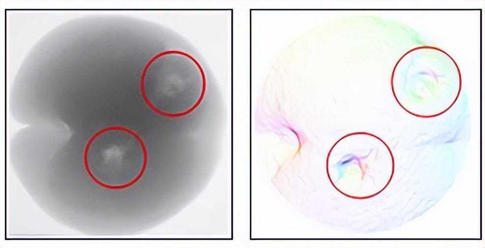 水果内部质量X射线无损检测技术