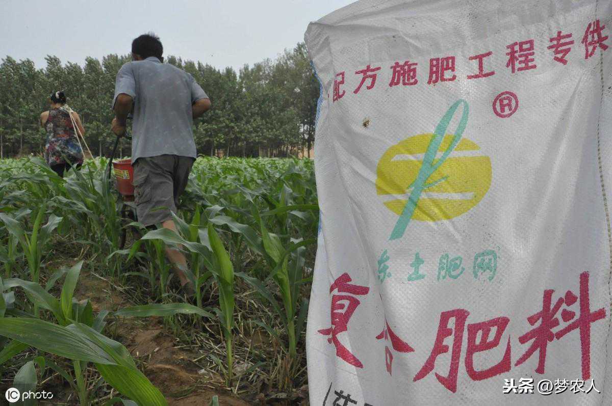 蔬菜测土配方施肥技术