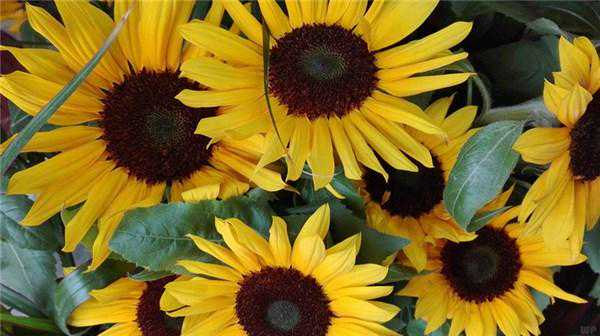 人生，每个梦想的背后，都是恒久的坚持