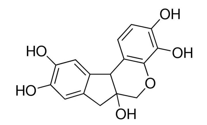 Hematoxylin；细胞核染料