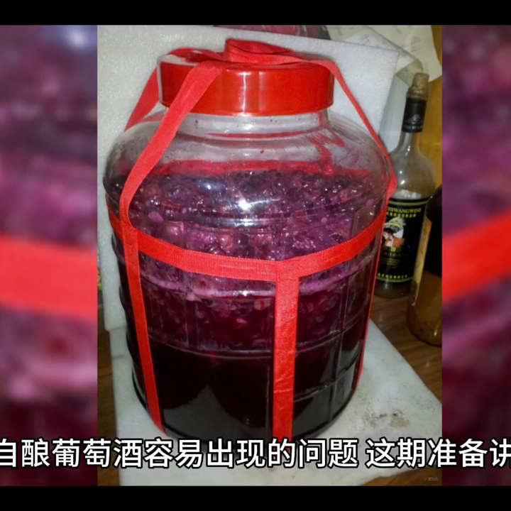 自酿葡萄酒需要的工具有哪些