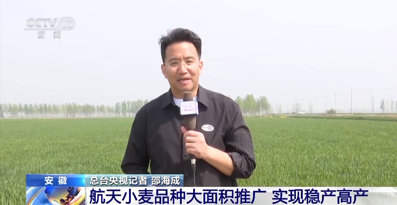 航天育种了解下！“上天入地”的“太空种子”这样炼成