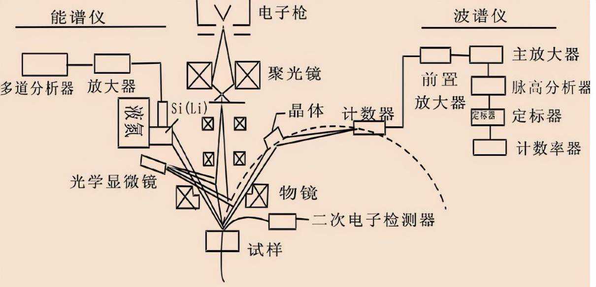 EPMA的原理及结构