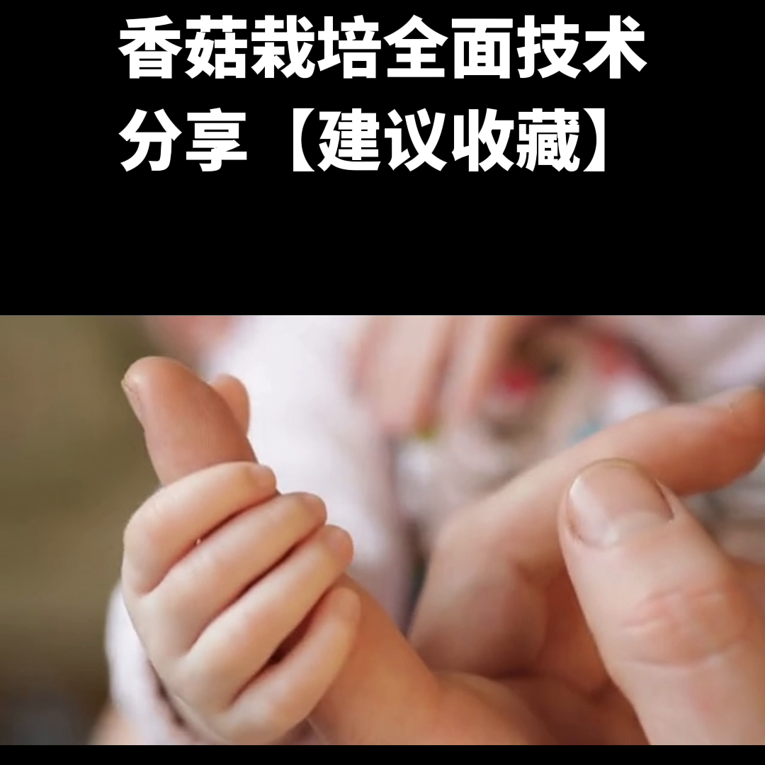 制棒环节 1.培养基料的选择 #菇之源