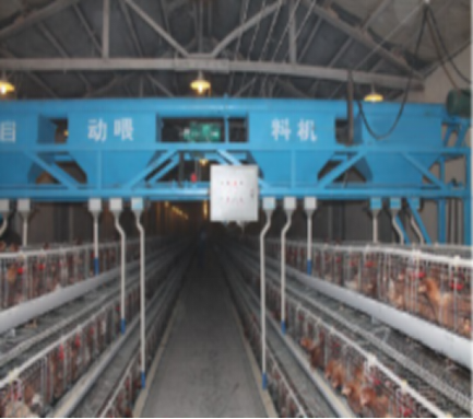 喂料机的安装与维护