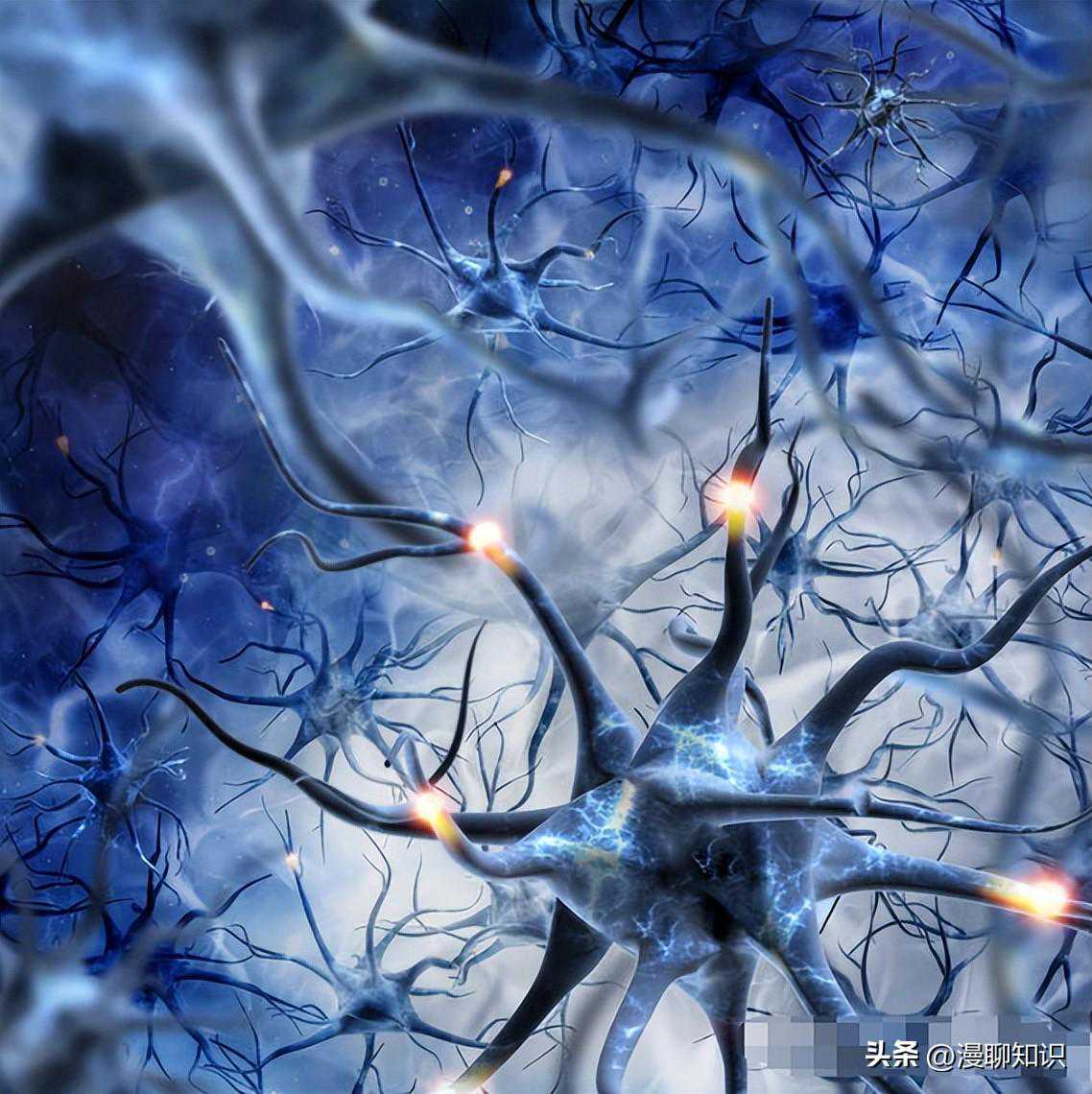 远东卓越｜圆锥滚子轴承结构特点及工作原理