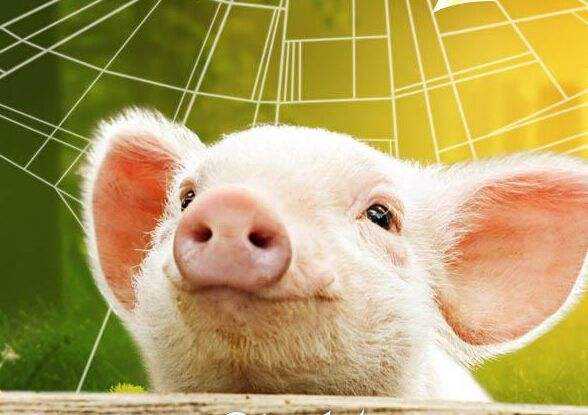 固液分离机的安装方法及原理