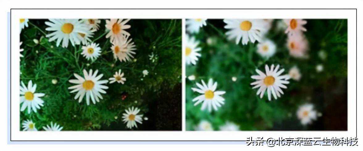 案例 | 变频器在螺杆空压机上的应用方案