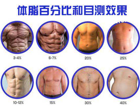 「问答11」增肌同时减脂，体脂仪靠谱吗？