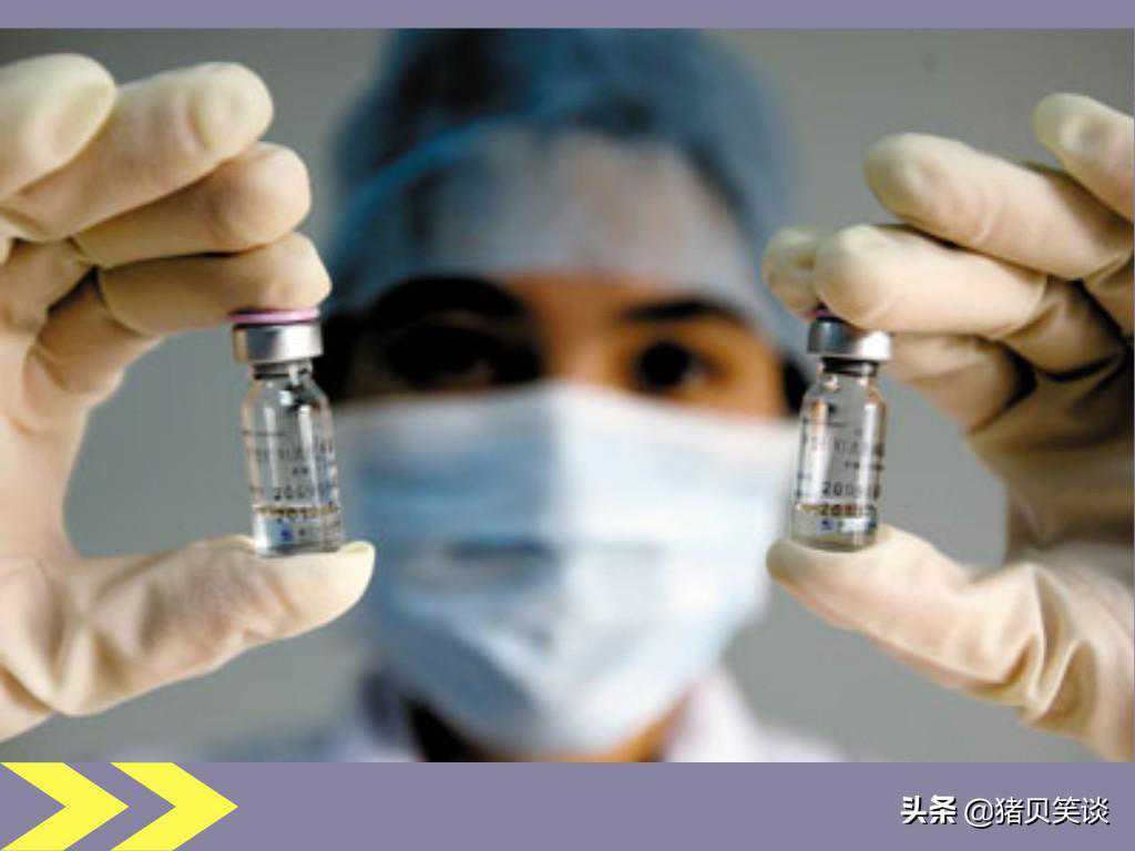 在猪场治疗中，地塞米松使用的“四抗”和“七项禁忌”