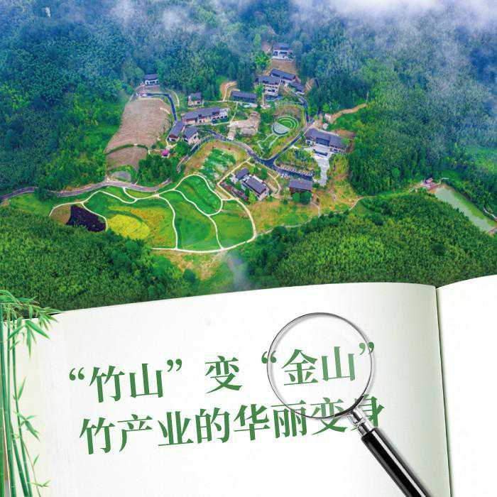 “竹山”变“金山”竹产业的华丽变身