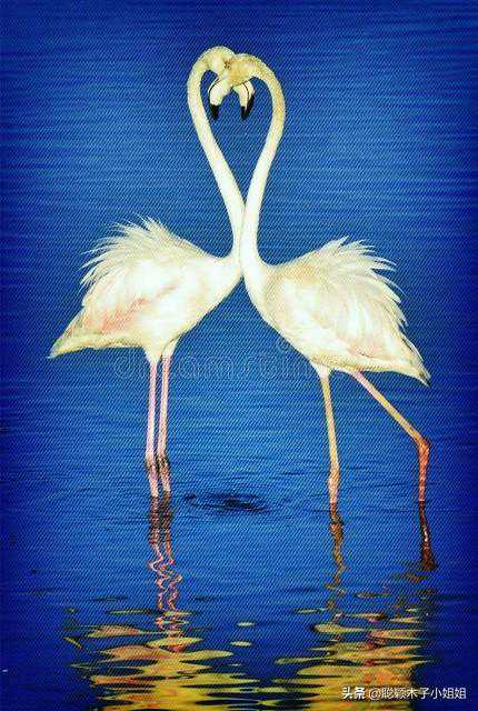 爱是一种感受，是一份默契和承诺