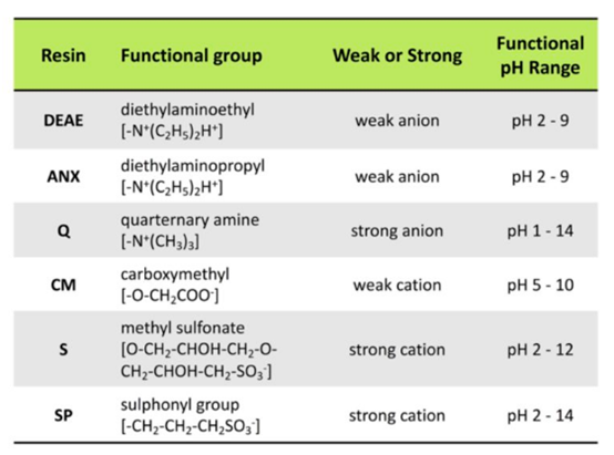 浅析离子交换层析