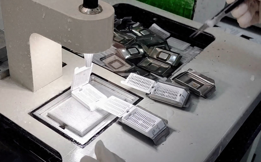 石蜡切片HE染色实验步骤