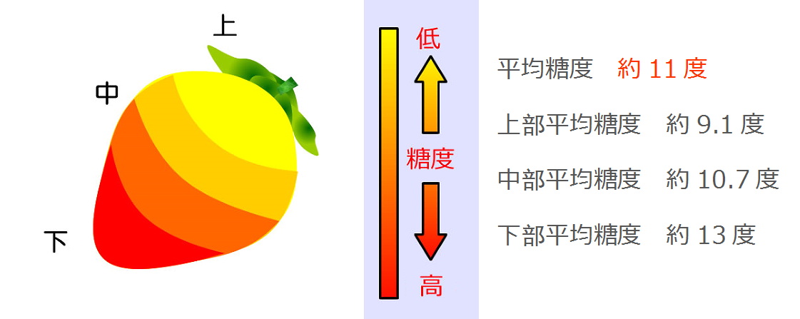 10种果实糖度分布图