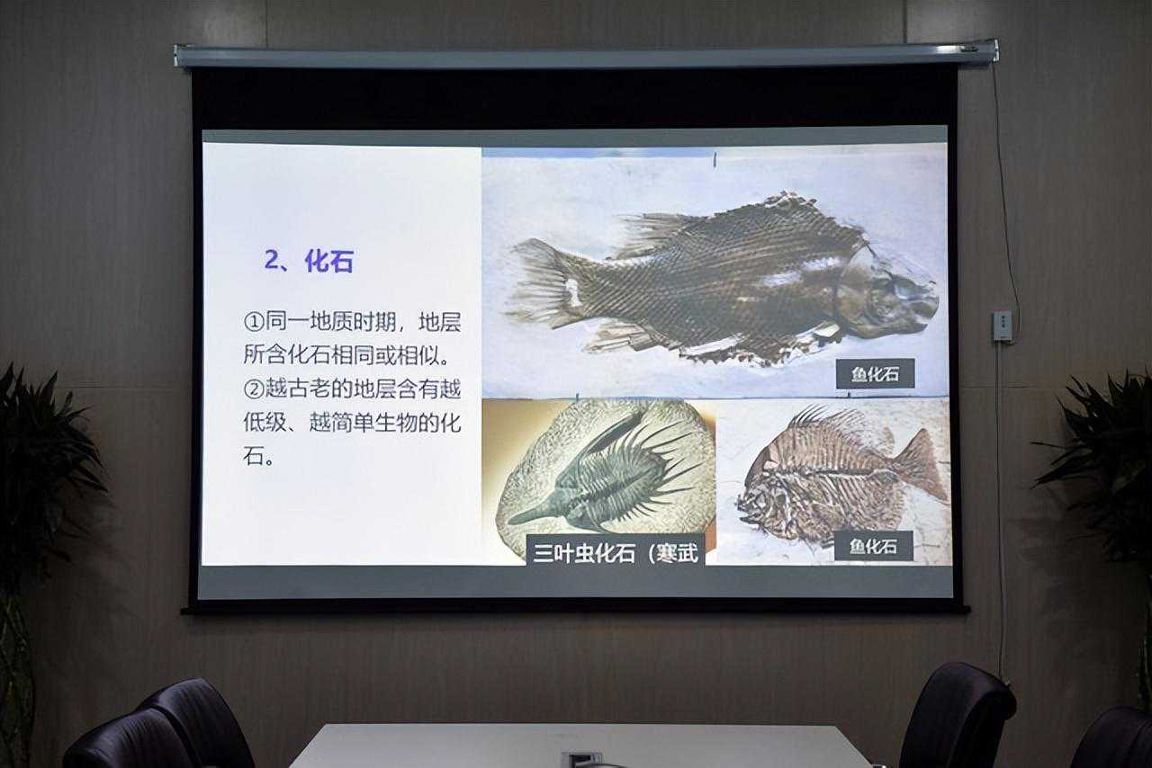 物料性质对香蕉筛的影响有哪些？粒度影响透筛率