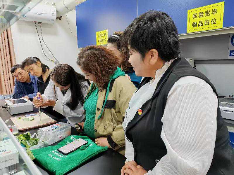 轮台县开展农残胶体金快速检测技术实操培训