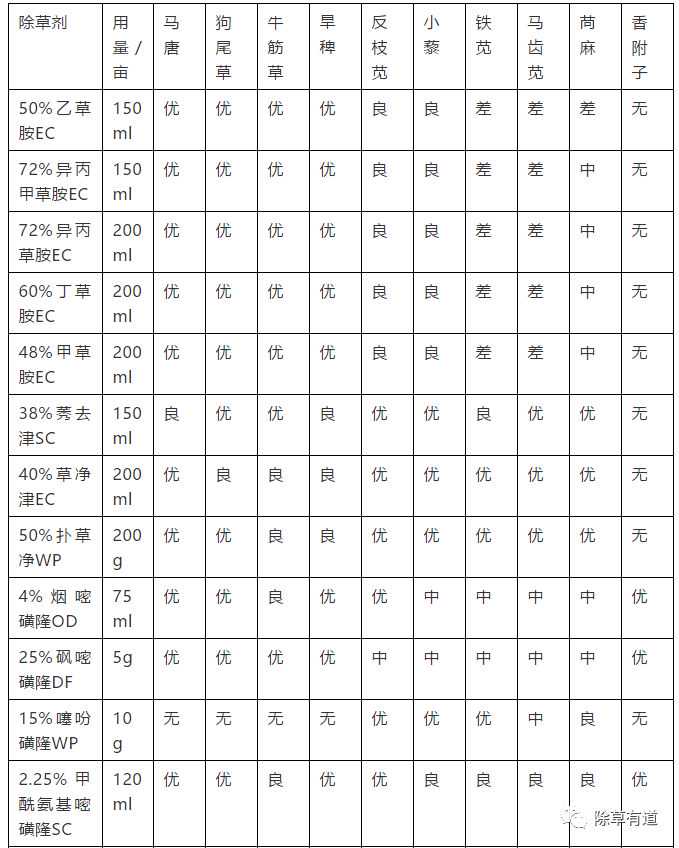 关于玉米除草剂的知识都在这里了！