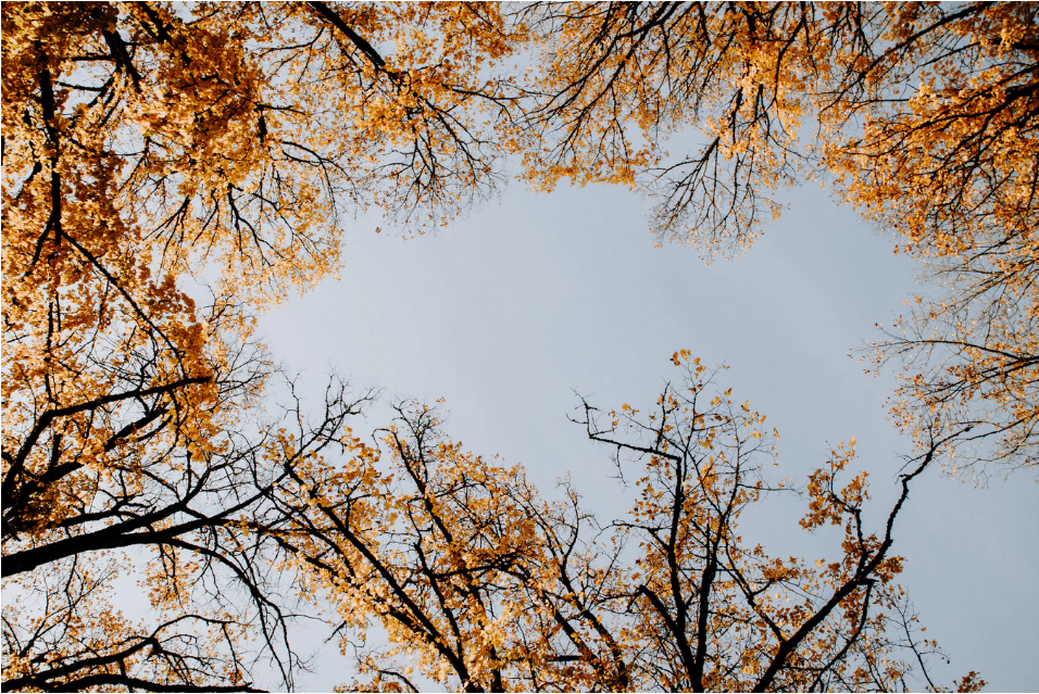 为什么非甲烷总烃无组织排放和环境质量评价容易混淆？