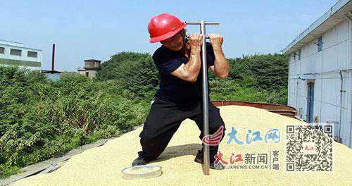 扛起3米长扦样器 每天插拔500余次