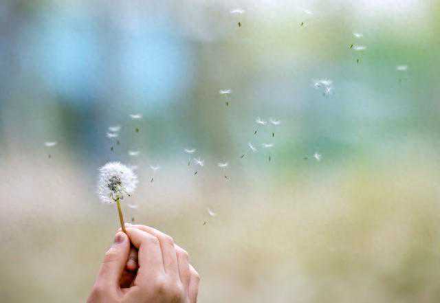 小小说之七十一：无尘