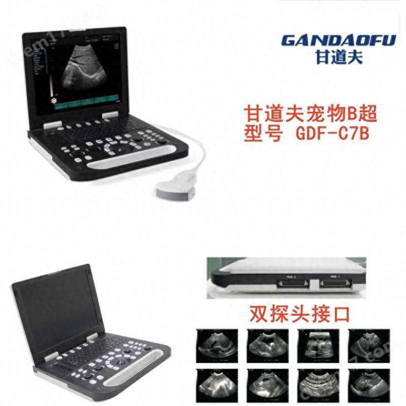 宠物B超品牌厂家小动物B超使用方法操作实践