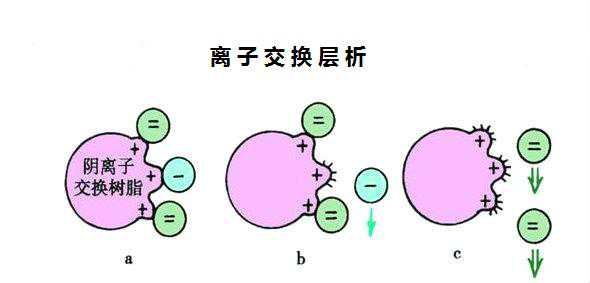 离子交换层析解析二