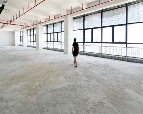 淄博市女官员王冬梅正被查！已退休快两年
