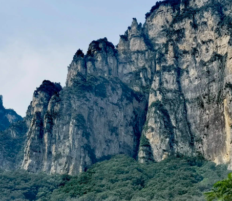 如何为品牌取一个好名字？