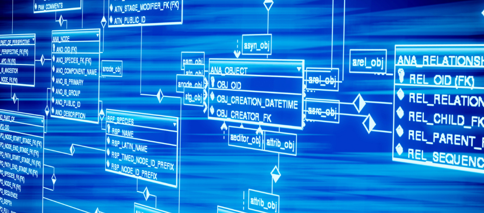 贵州省高级人民法院正厅长级干部唐林被开除党籍和公职