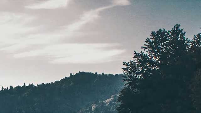 什么会导致氨氮超标，会带来什么影响？